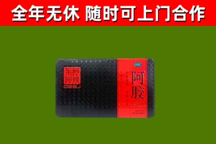 西工区烟酒回收阿胶.jpg